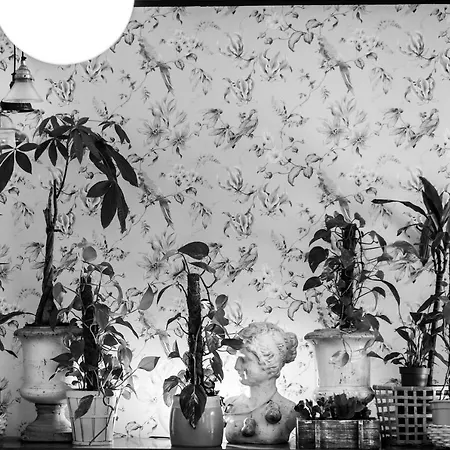 Zrooms&suites Boutique Hotel