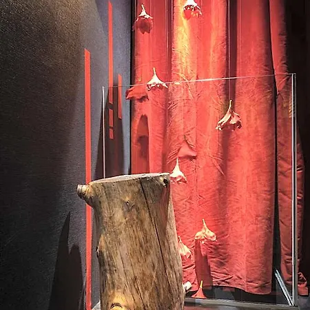 The Black Boutique -- Turistea