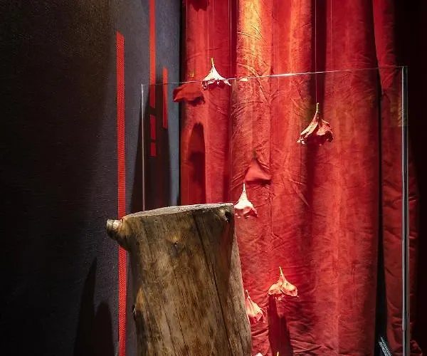 Hotell Zrooms&suites Boutique Zaragoza